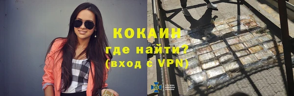 apvp Новозыбков