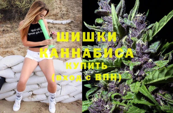 apvp Новозыбков