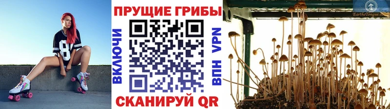 Галлюциногенные грибы мухоморы  Купить где  Лебедянь 
